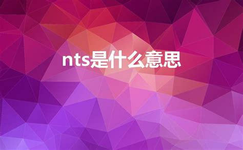 nts意思|欧路词典